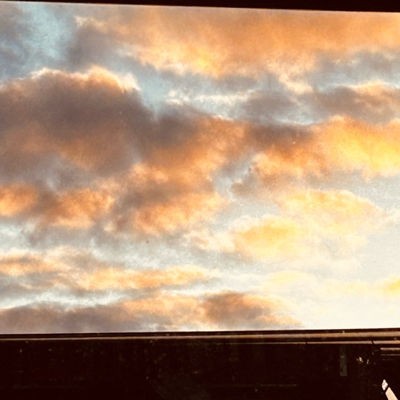 Meet your Posher, Athena - Picture 1 of 1